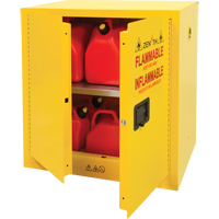 Flammable Storage Cabinet, 22 gal., 2 Door, 35" W x 35" H x 22" D Stor-it Systems