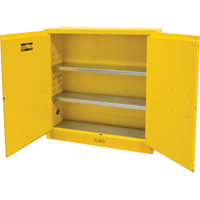 Flammable Storage Cabinet, 24 gal., 2 Door, 43" W x 44" H x 12" D Stor-it Systems