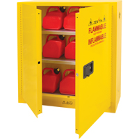 Flammable Storage Cabinet, 24 gal., 2 Door, 43" W x 44" H x 12" D Stor-it Systems