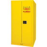Armoire pour produits inflammables, 60 gal., 2 Porte(s), 34" La x 65" h x 34" p Stor-it Systems