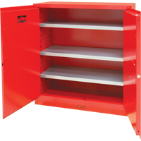 Armoire pour peintures et encres, 45 gal., 3 tablettes Stor-it Systems