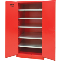 Armoire pour peintures et encres, 96 gal., 5 tablettes Stor-it Systems
