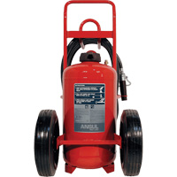 Red Line<sup>®</sup> Wheeled Fire Extinguishers, BC, 150 lbs. Capacity SDN839 | Stor-it Systems