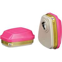 Cartouches pour respirateur s&eacute;rie 6000, Cartouche gaz/vapeur, Gaz multiples/Vapeurs/P100 Stor-it Systems