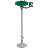 Axion&reg; Eye/Face Wash Station, Pedestal Installation, Plastic Bowl Stor-it Systems