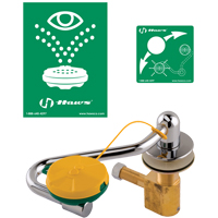 Eye/Face Wash Station, Sink Mount Installation Stor-it Systems