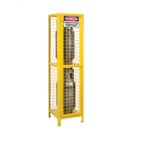 Gas Cylinder Cabinets, 2 Cylinder Capacity, 17" W x 17" D x 69" H, Yellow SEB838 | Stor-it Systems