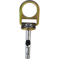 PRO™ Concrete D-ring Anchor with Bolt, Concrete/D-Ring, Permanent Use SEB928 | Stor-it Systems
