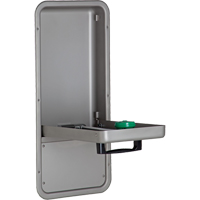 Eye/Face Wash Station, Wall-Mount Installation, Stainless Steel Bowl Stor-it Systems