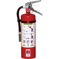 Extincteur d'incendie, ABC, Capacité 5 lb SED109 | Stor-it Systems