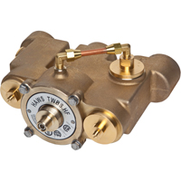 Thermostatic Mixing Valves, 78 GPM SED975 | Stor-it Systems