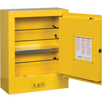 Sure-Grip&reg; EX Mini Flammable Safety Cabinet, 2 Gal., 1 Door, 17" W x 22" H x 8" D Stor-it Systems