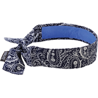 Foulards 6700CT de refroidissement en tissu de serviette Chill-Its, Bleu Stor-it Systems