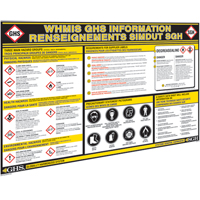 GHS Information Wall Charts SEJ599 | Stor-it Systems