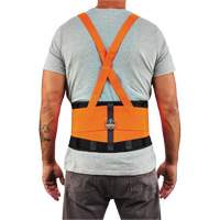 ProFlex 100HV Economy Spandex Hi-Vis Back Support Brace, Elastic, X-Small Stor-it Systems