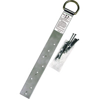 Ancrage simple pour toiture Miller, Anneau en D, Usage Permanent Stor-it Systems