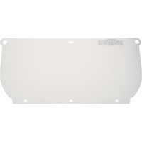 Visi&egrave;re, Polycarbonate, Teinte Transparent Stor-it Systems