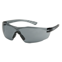 Z700 Series Safety Glasses, Grey/Smoke Lens, Anti-Scratch, Meets/Exceeds CSA Z94.3 Stor-it Systems