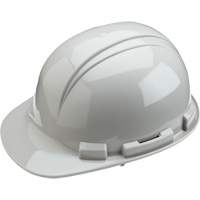 Casque de s&eacute;curit&eacute; Whistler de North, R&eacute;pond aux normes CSA type 1, Suspension &agrave; douille, Non ventil&eacute; Stor-it Systems
