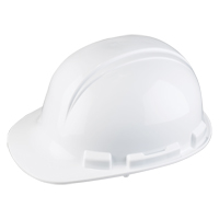 Casque de s&eacute;curit&eacute; Whistler de North, R&eacute;pond aux normes CSA type 1, Suspension Rochet, Non ventil&eacute; Stor-it Systems