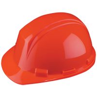 Casque Mont-Blanc de North, R&eacute;pond aux normes CSA type 2, Suspension Rochet, Non ventil&eacute; Stor-it Systems