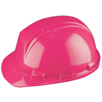 Casque Mont-Blanc de North, R&eacute;pond aux normes CSA type 2, Suspension Rochet, Non ventil&eacute; Stor-it Systems