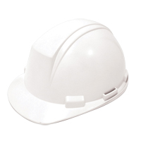 Dynamic Mont-Blanc Hardhat, ANSI Type II/CSA Type 2, Pinlock Suspension Stor-it Systems