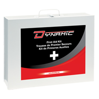 Dynamic General-Purpose Industrial First Aid Kit, Class 1 Medical Device, Metal B Stor-it Systems