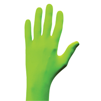 Gants N-Dex, Petit, Nitrile, 5 mils, Sans poudre, Vert Stor-it Systems