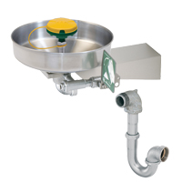 Axion<sup>®</sup> Eye/Face Wash Station, Wall-Mount Installation, Stainless Steel Bowl SGC270 | Stor-it Systems
