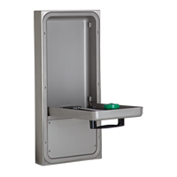Eye/Face Wash Station, Wall-Mount Installation SGC274 | Stor-it Systems