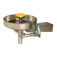 Eye/Face Wash Station, Wall-Mount Installation, Stainless Steel Bowl Stor-it Systems