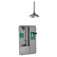 Eye/Face Wash and Shower, Ceiling-Mount SGC292 | Stor-it Systems