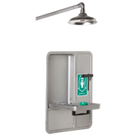 Eye/Face Wash and Shower, Ceiling-Mount Stor-it Systems