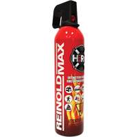 Fire Extinguisher, ABC/K, 2 lbs. Capacity SGC461 | Stor-it Systems