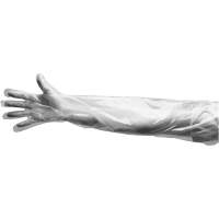 Disposable Gloves, Large, Polyethylene, 9-mil, Powdered, Clear SGF113 | Stor-it Systems