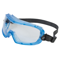 Uvex&reg; Entity Safety Goggles, Clear Lens, Anti-Fog, Indirect Vent Stor-it Systems