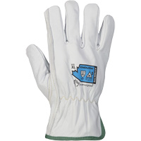 Endura&reg; Cut-Resistant Arc Flash Gloves, X-Small, 10" L, 36 cal/cm², Level 3, NFPA 70E Stor-it Systems