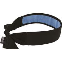 Chill-Its<sup>®</sup> 6700CT Cooling Bandana, Black SGP151 | Stor-it Systems