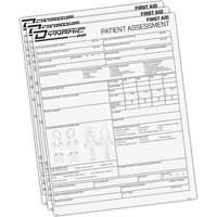 Dynamic Patient Assessment Chart Stor-it Systems