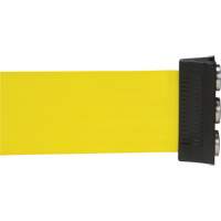 Wall Mount Barrier with Magnetic Tape, Steel, Screw Mount, 12', Yellow Tape Stor-it Systems