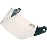 Faceshield Visors