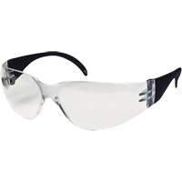CeeTec Safety Glasses, Clear Lens, Anti-Fog/Anti-Scratch, Meets/Exceeds CSA Z94.3 Stor-it Systems