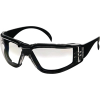 CeeTec DX Safety Glasses, Clear Lens, Anti-Fog/Anti-Scratch, Meets/Exceeds CSA Z94.3 Stor-it Systems
