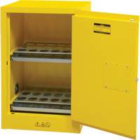 Flammable Aerosol Storage Cabinet, 12 gal., 1 Door, 23" W x 35" H x 18" D Stor-it Systems