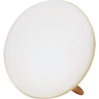 Jumbo Therapy Light for Seasonal Affective Disorder Stor-it Systems