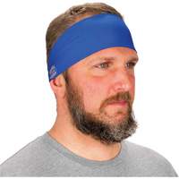 Chill-Its 6634 Cooling Headband, Blue SHB409 | Stor-it Systems