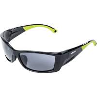 XP460 Safety Glasses, Smoke Lens, Anti-Fog/Anti-Scratch Stor-it Systems