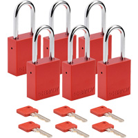 Cadenas de s&eacute;curit&eacute;, Cadenas de s&eacute;curit&eacute;, Cl&eacute;s diff&eacute;rentes, Aluminium, Largeur de 1-1/2" Stor-it Systems