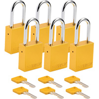 Cadenas de s&eacute;curit&eacute;, Cadenas de s&eacute;curit&eacute;, Cl&eacute;s diff&eacute;rentes, Aluminium, Largeur de 1-1/2" Stor-it Systems